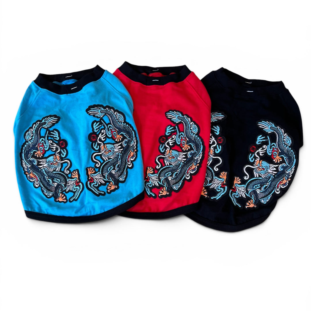 ドラゴンラグランTシャツ