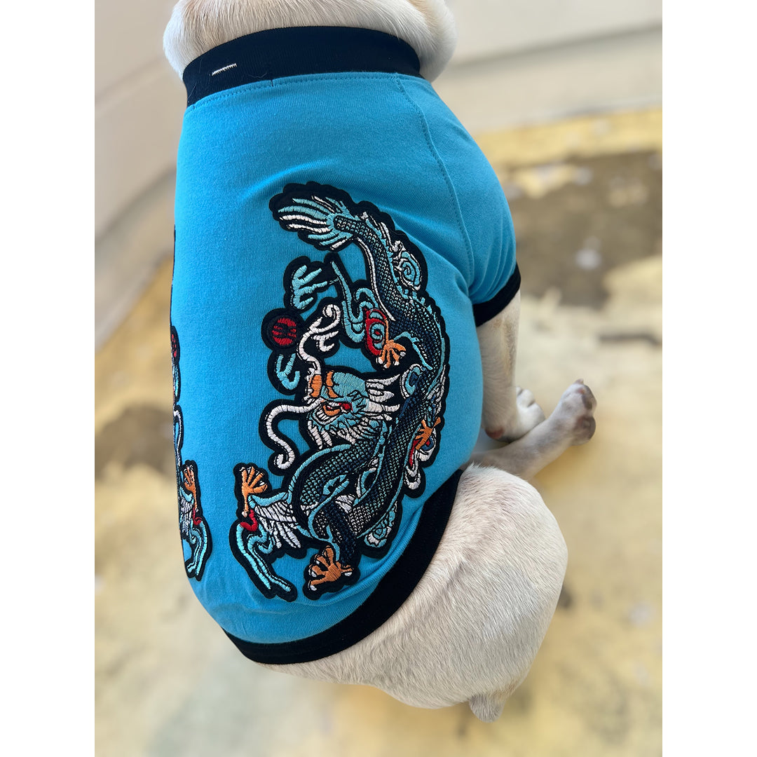 ドラゴンラグランTシャツ