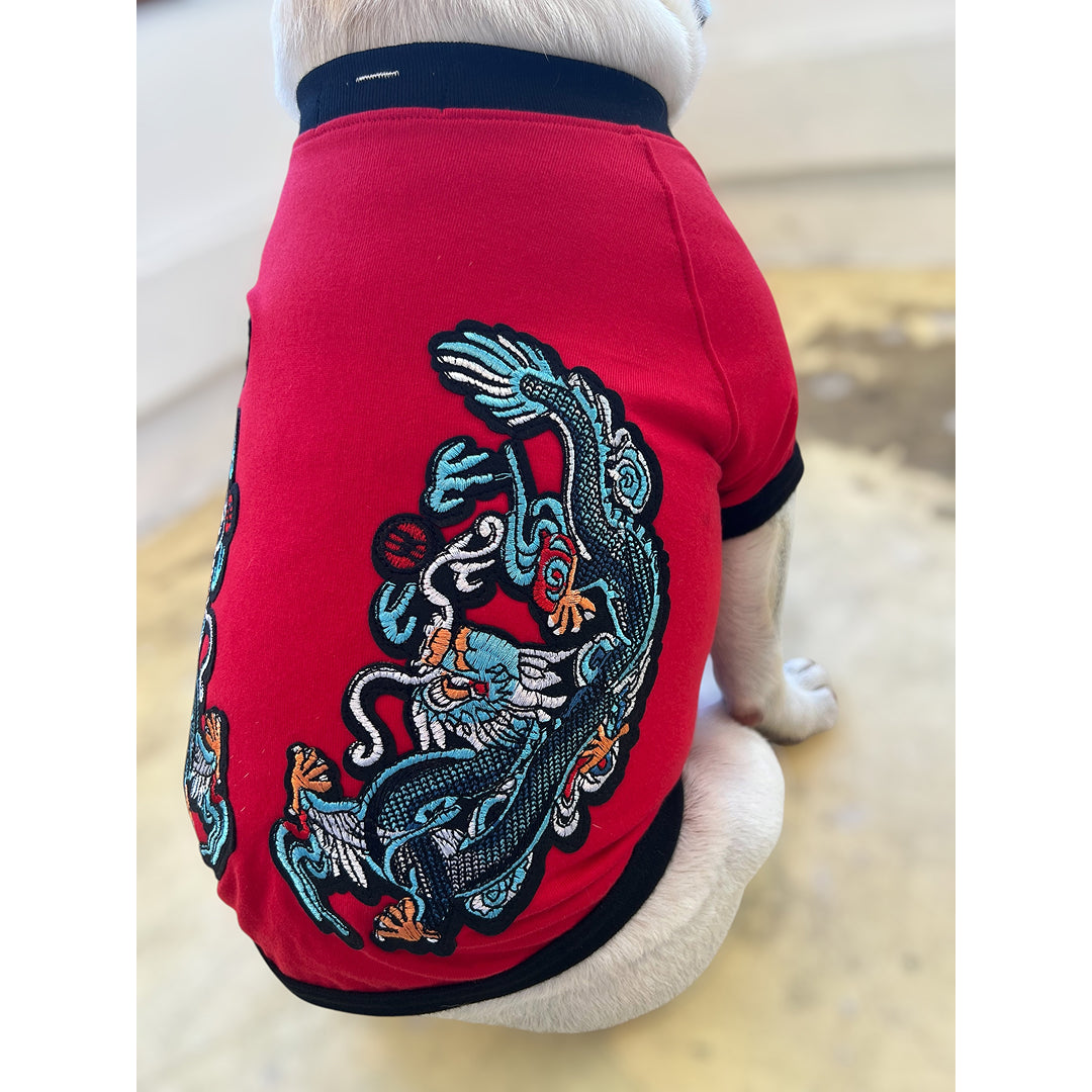 ドラゴンラグランTシャツ