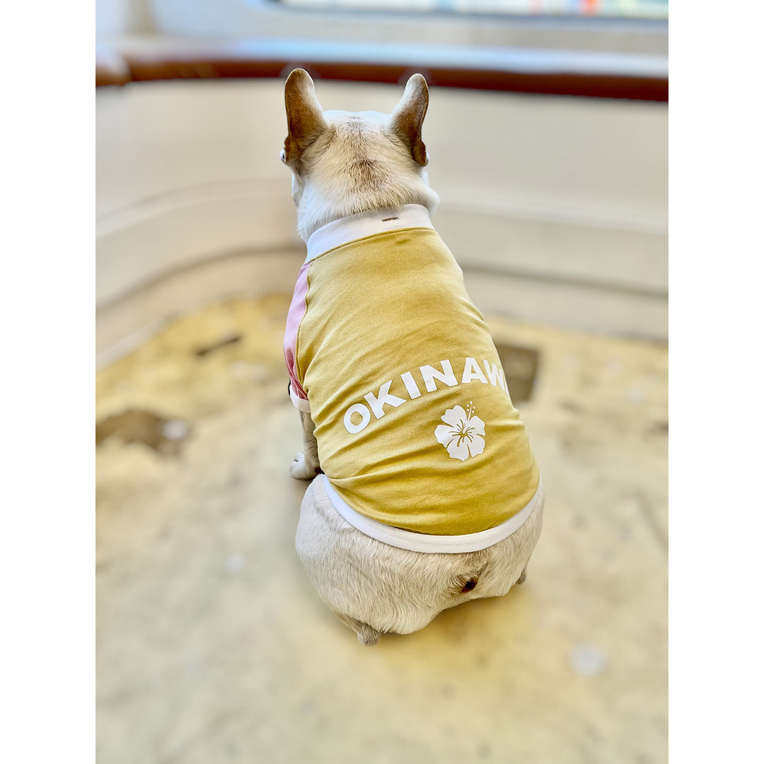 ハイビスカスOKINAWAラグランTシャツ