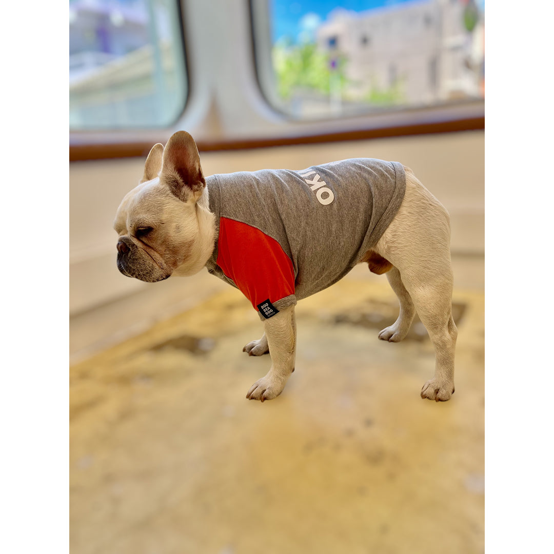 ハイビスカスOKINAWAラグランTシャツ
