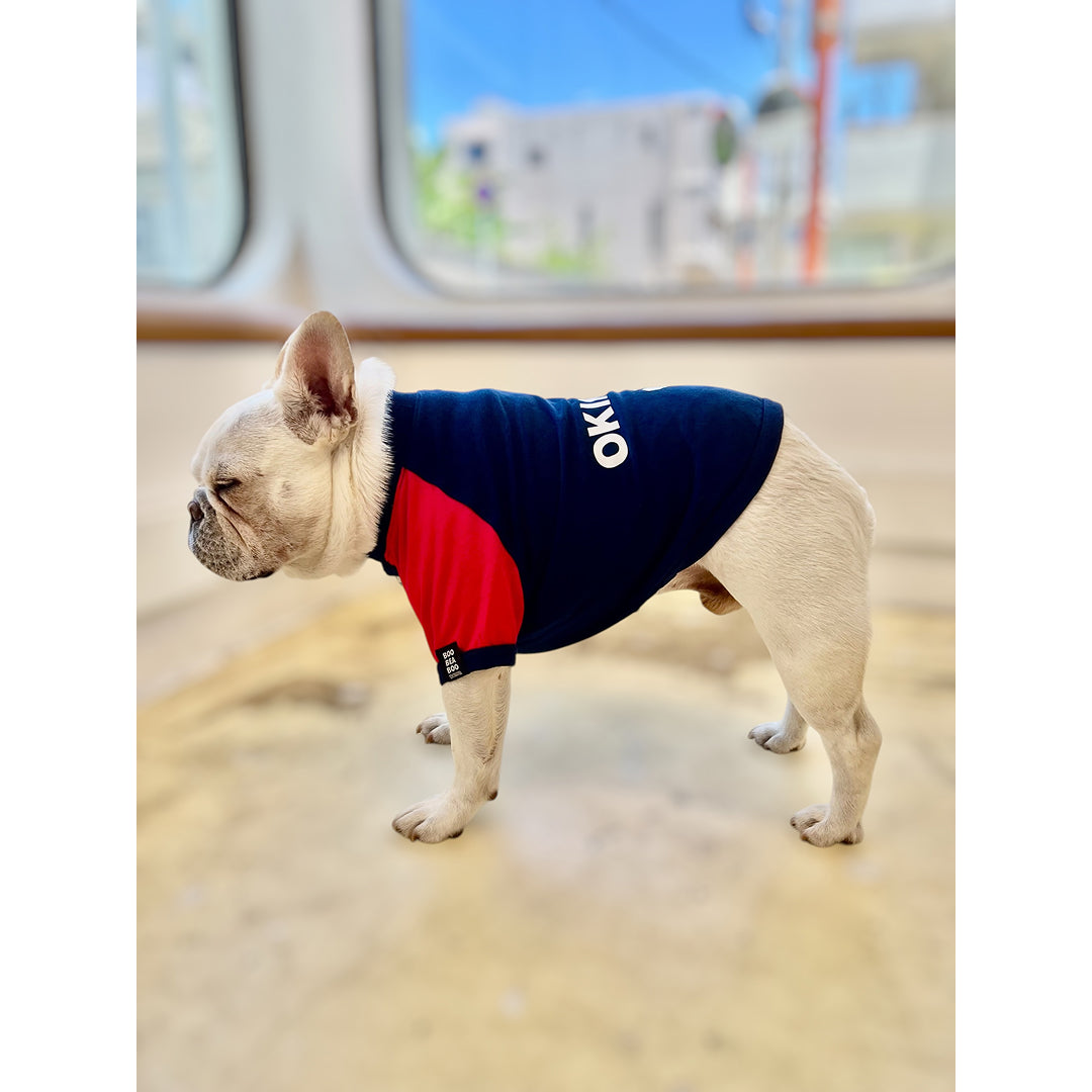 ハイビスカスOKINAWAラグランTシャツ