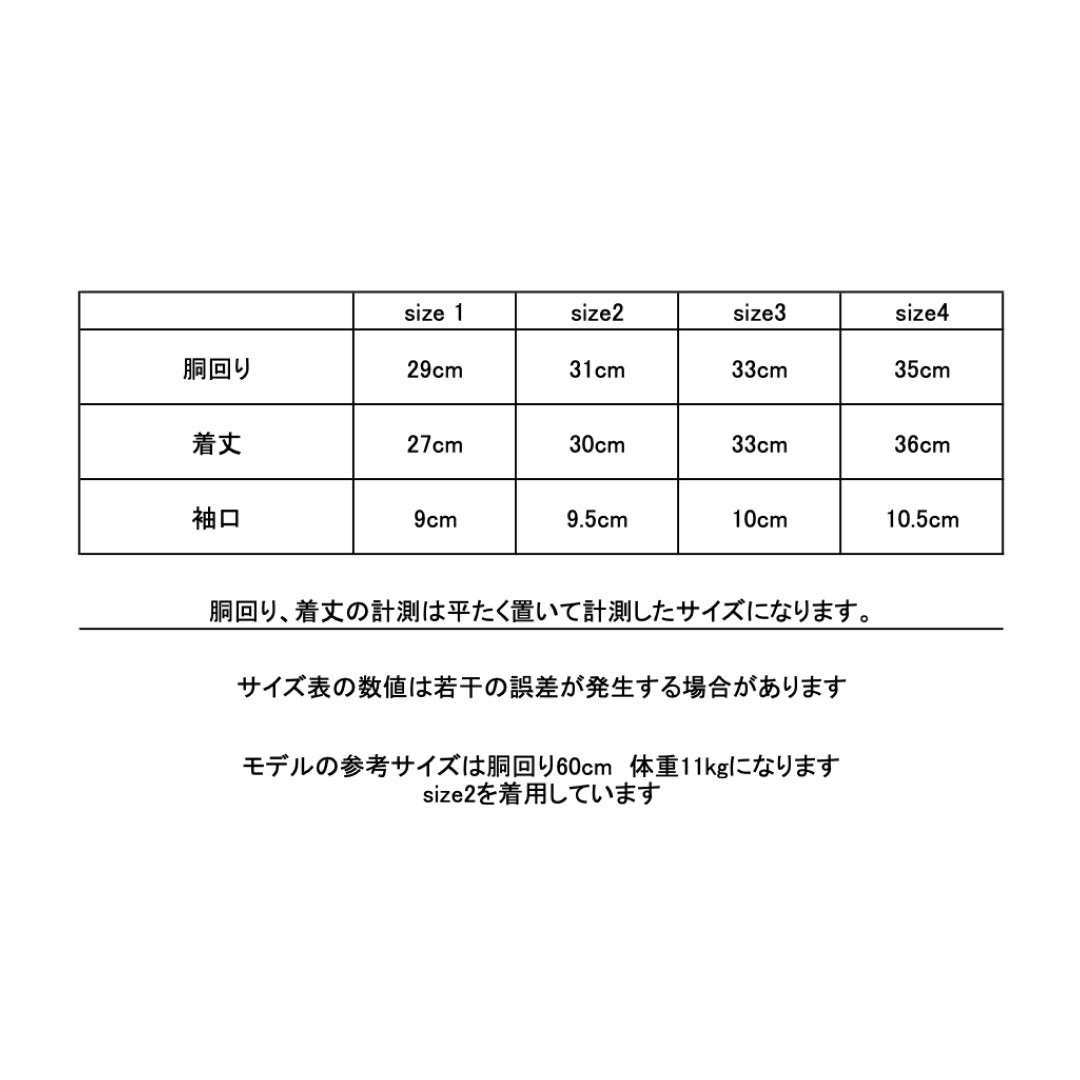 シーサーBUHIラグランTシャツ
