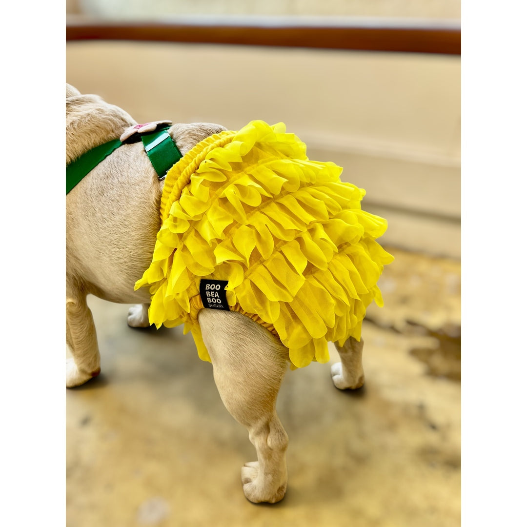 フリフリパンツ