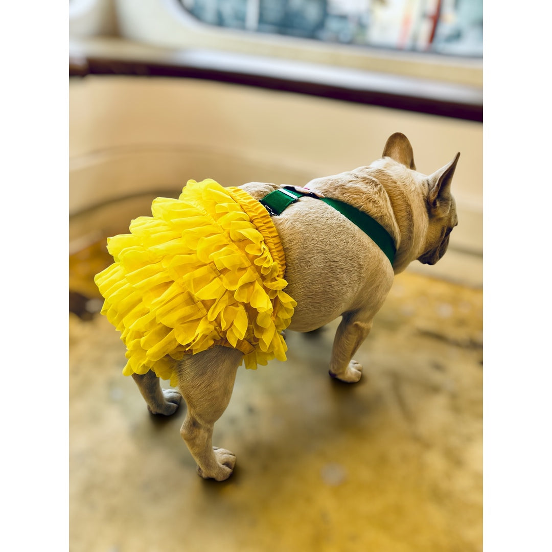 フリフリパンツ