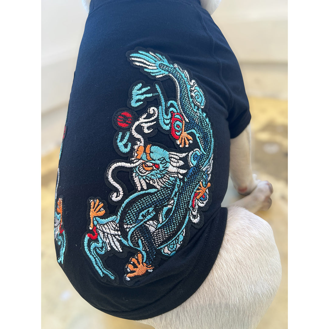 ドラゴンラグランTシャツ