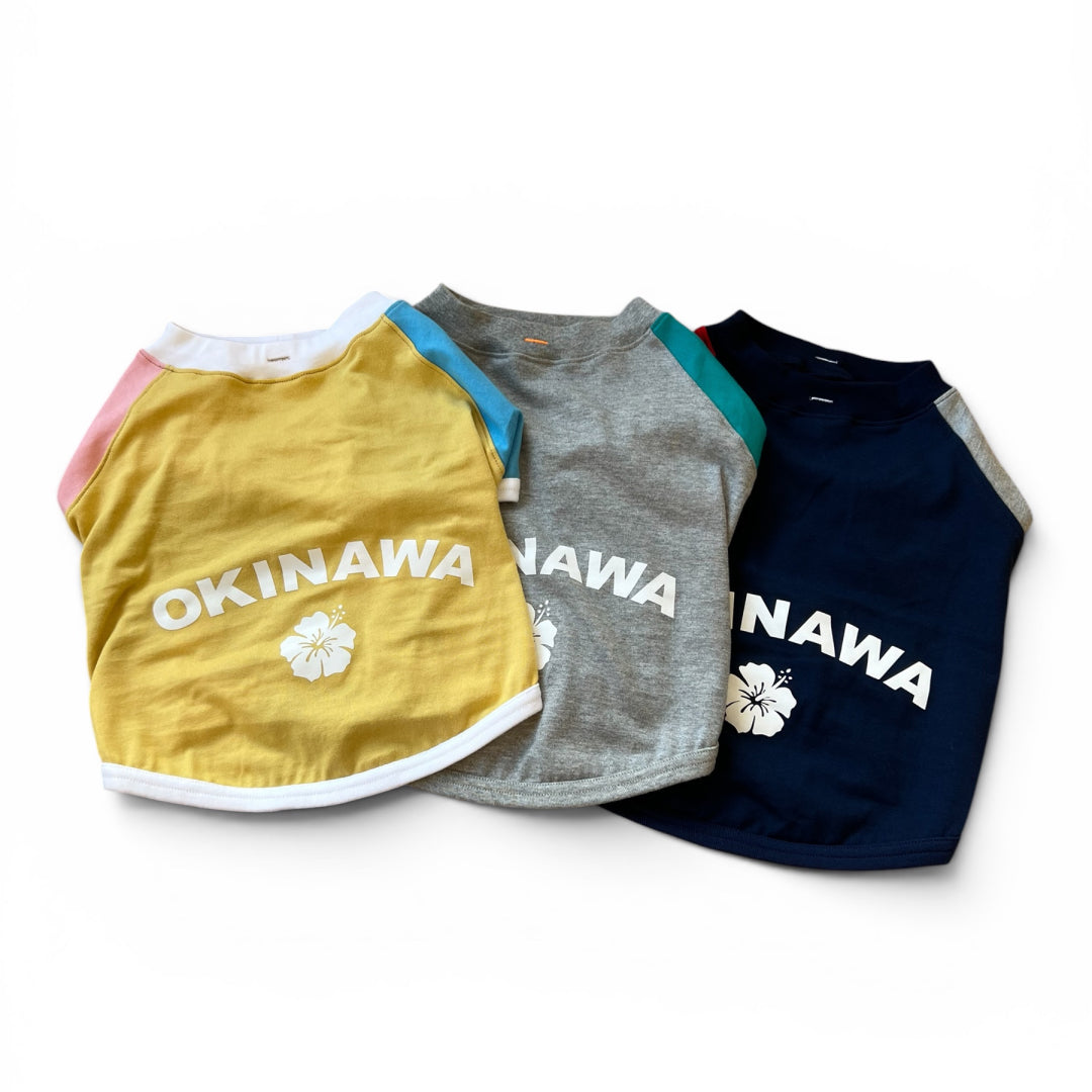 ハイビスカスOKINAWAラグランTシャツ
