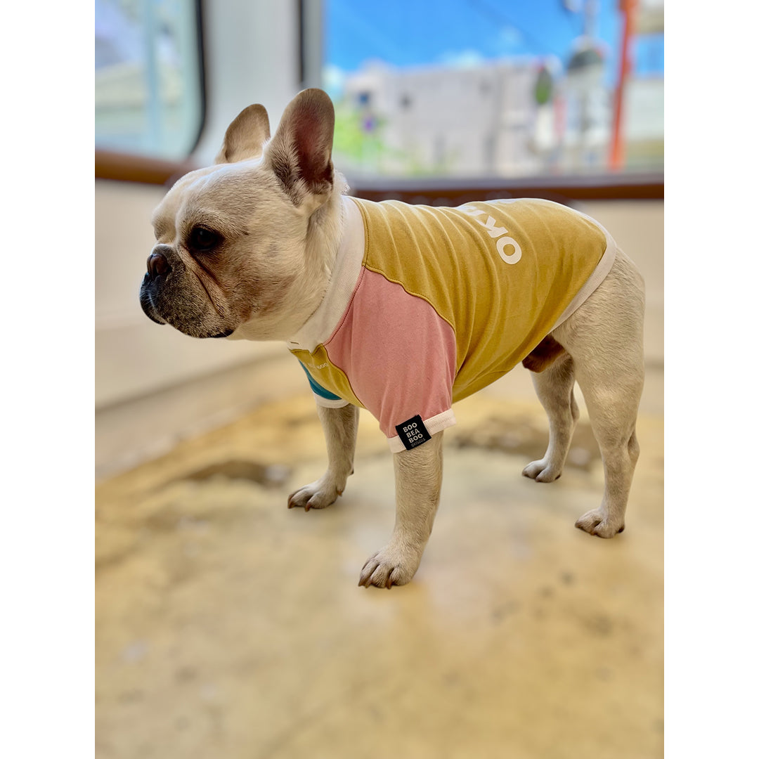 ハイビスカスOKINAWAラグランTシャツ