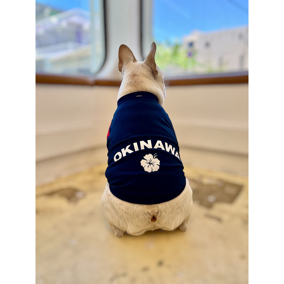 ハイビスカスOKINAWAラグランTシャツ