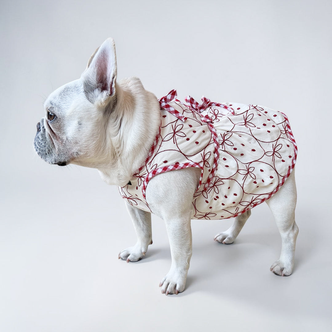 イチゴ刺繍のワンピース